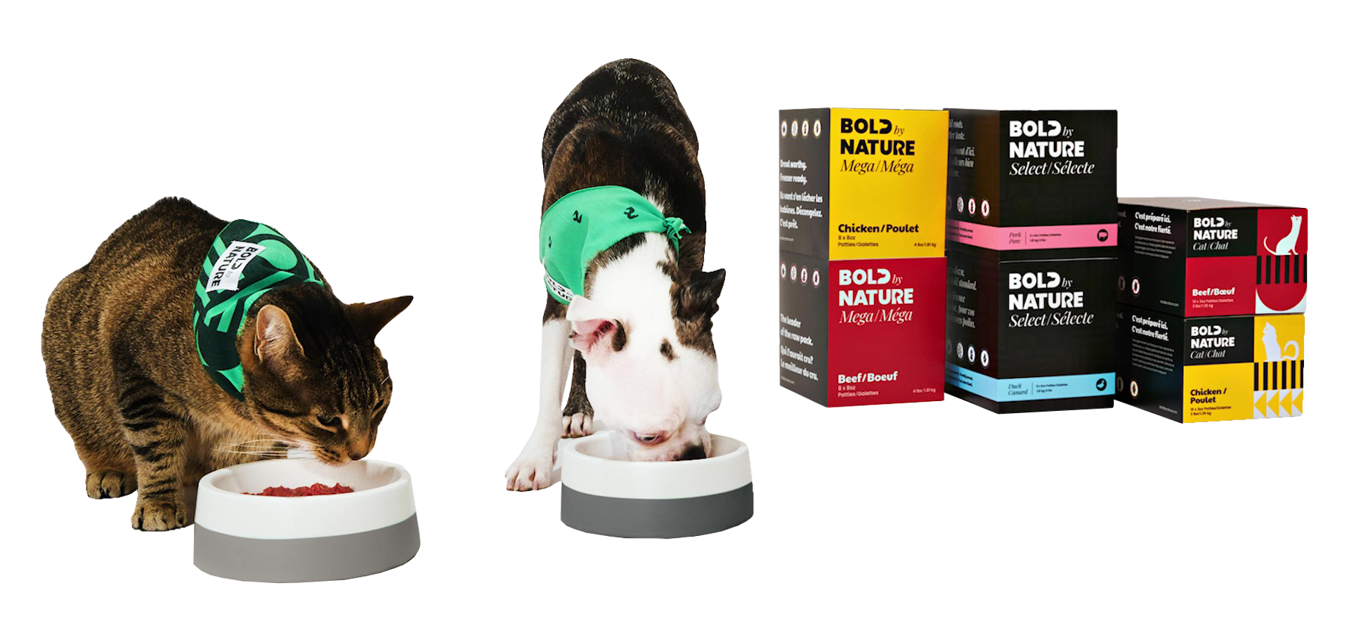 Dog and Cat Website Graphic Dog and Cat Website Graphic