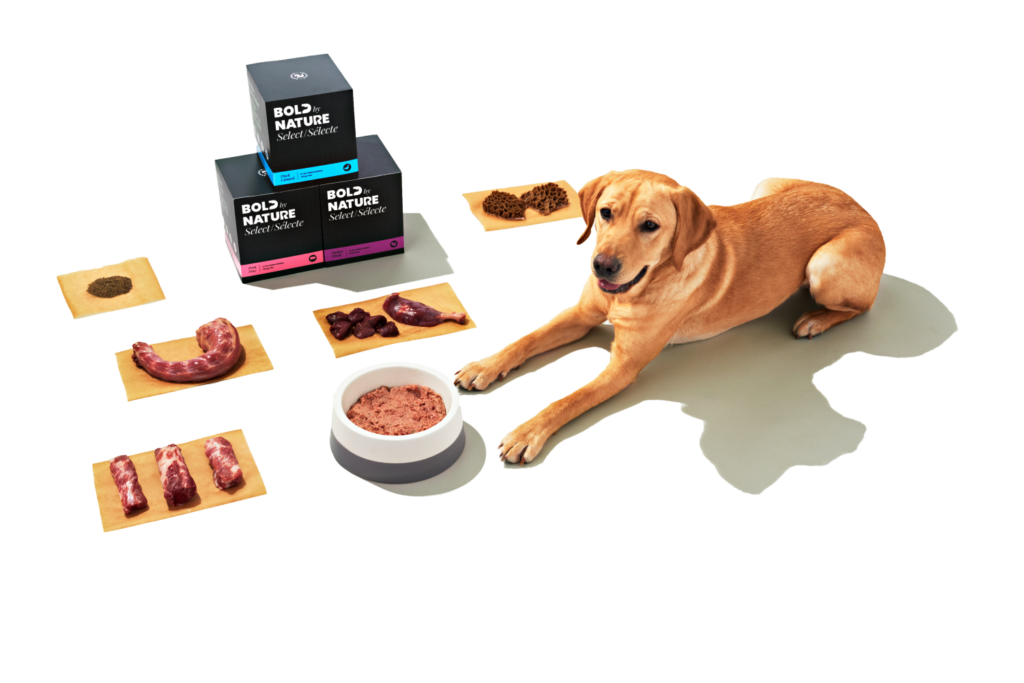 Dog and ingredients graphic-min Dog and ingredients graphic