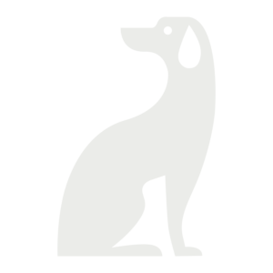 dog-graphic-04 dog-graphic